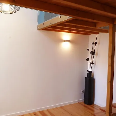 Dreaming - Trigueiros Daire