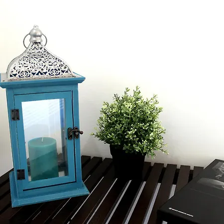 Dreaming - Trigueiros Daire Lisboa