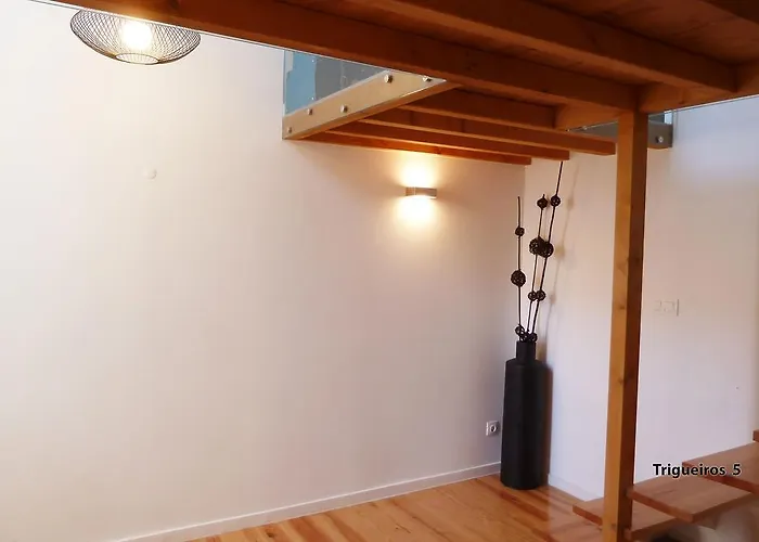 Dreaming - Trigueiros Appartement