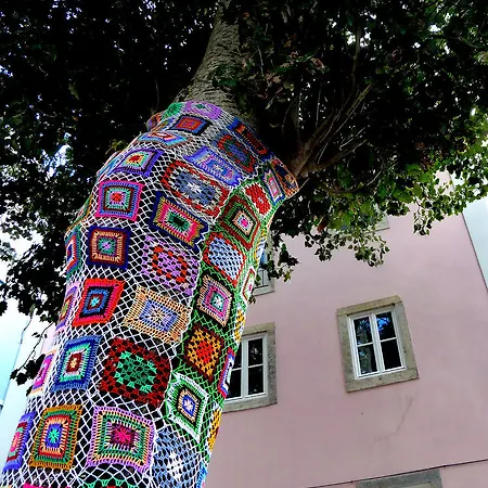 Apartamento Dreaming - Trigueiros *