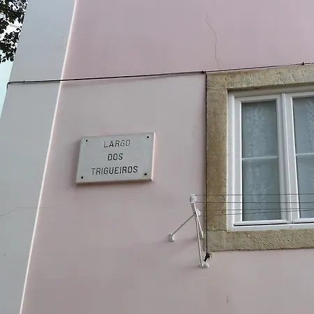 Apartamento Dreaming - Trigueiros