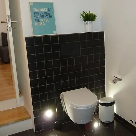 Dreaming - Trigueiros *